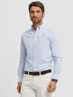 Alvaro Moreno Oxford|CAMISA OXFORD RAYAS BASIC Celeste