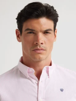 Alvaro Moreno Oxford|CAMISA OXFORD RAYAS BASIC Rosa