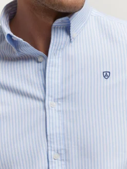Alvaro Moreno Oxford|CAMISA OXFORD RAYAS Celeste