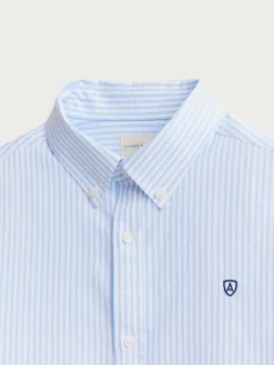 Alvaro Moreno Oxford|CAMISA OXFORD RAYAS Celeste