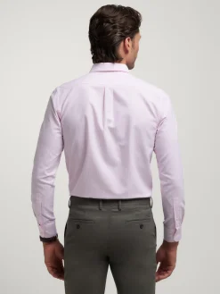Alvaro Moreno Oxford|CAMISA OXFORD RAYAS Rosa