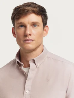 Alvaro Moreno Oxford|CAMISA OXFORD SOLID Camel