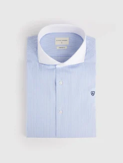 Alvaro Moreno Camisas Vestir|Camisas Vestir|CAMISA RAYAS C. BLANCO Celeste