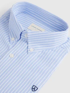 Alvaro Moreno Camisas Vestir|Camisas Vestir|CAMISA RAYAS DUTTON Celeste