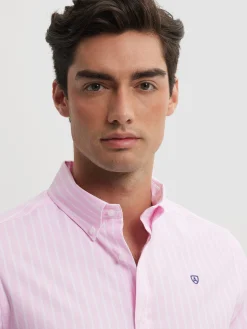 Alvaro Moreno Casual|CAMISA RAYAS DUTTON Rosa
