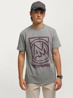 Alvaro Moreno Teen|Camisetas|CAMISETA LOGO Gris