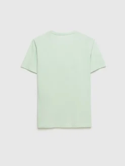 Alvaro Moreno Camisetas|CAMISETA MOTORCYCLE Verde