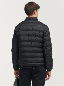 Alvaro Moreno Cazadoras Y Parkas|CAZADORA MONTREAL Negro