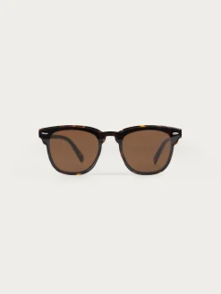 Alvaro Moreno Gafas De Sol|GAFAS GENTLEMAN MARRÓN Marrón