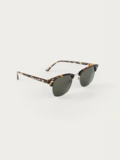 Alvaro Moreno Gafas De Sol|GAFAS MASTER MARRÓN Marrón