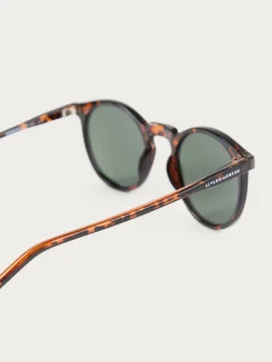 Alvaro Moreno Gafas De Sol|GAFAS ROUNDER MARRÓN Marrón