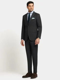 Alvaro Moreno Trajes|Trajes|PANTALON FIL A FIL Gris