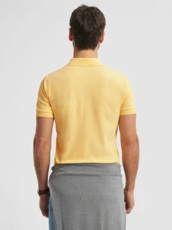 Alvaro Moreno Polos Y Poleras|POLO BASIC Amarillo