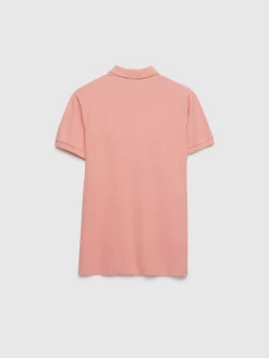 Alvaro Moreno Polos Y Poleras|POLO BASIC SALMÓN Salmón