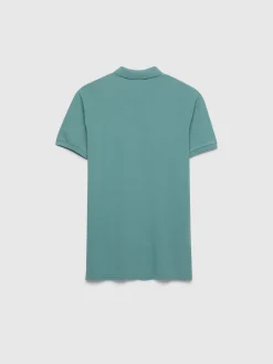 Alvaro Moreno Polos Y Poleras|POLO BASIC Verde