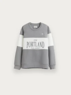 Alvaro Moreno Sudaderas|SUDADERA PORTLAND KIDS Gris