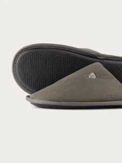 Alvaro Moreno Zapatillas|ZAPATILLAS ANTELINA Gris