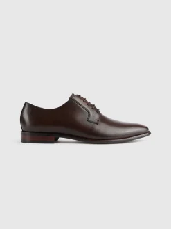 Alvaro Moreno Vestir|ZAPATO OXFORD MARRÓN Marrón